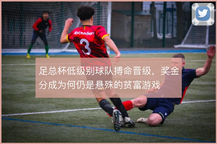 足总杯低级别球队搏命晋级，奖金分成为何仍是悬殊的贫富游戏