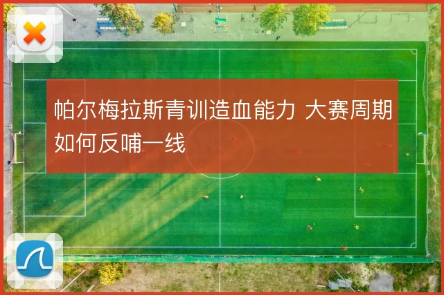 帕尔梅拉斯青训造血能力 大赛周期如何反哺一线