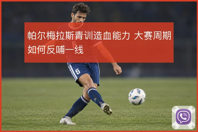 帕尔梅拉斯青训造血能力 大赛周期如何反哺一线
