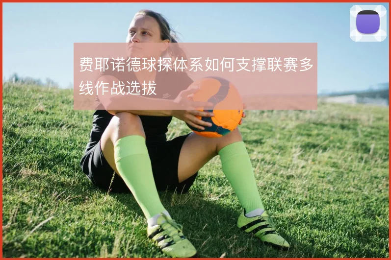 费耶诺德球探体系如何支撑联赛多线作战选拔