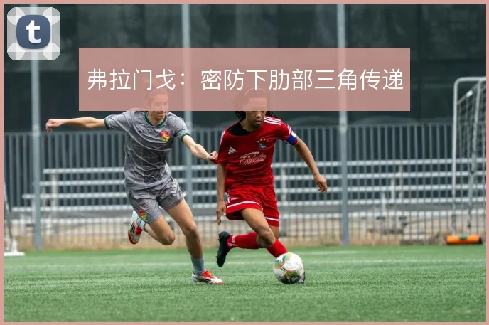 弗拉门戈：密防下肋部三角传递